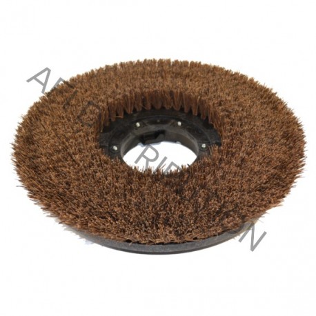 Brosse à polir Palmyra 43 cms